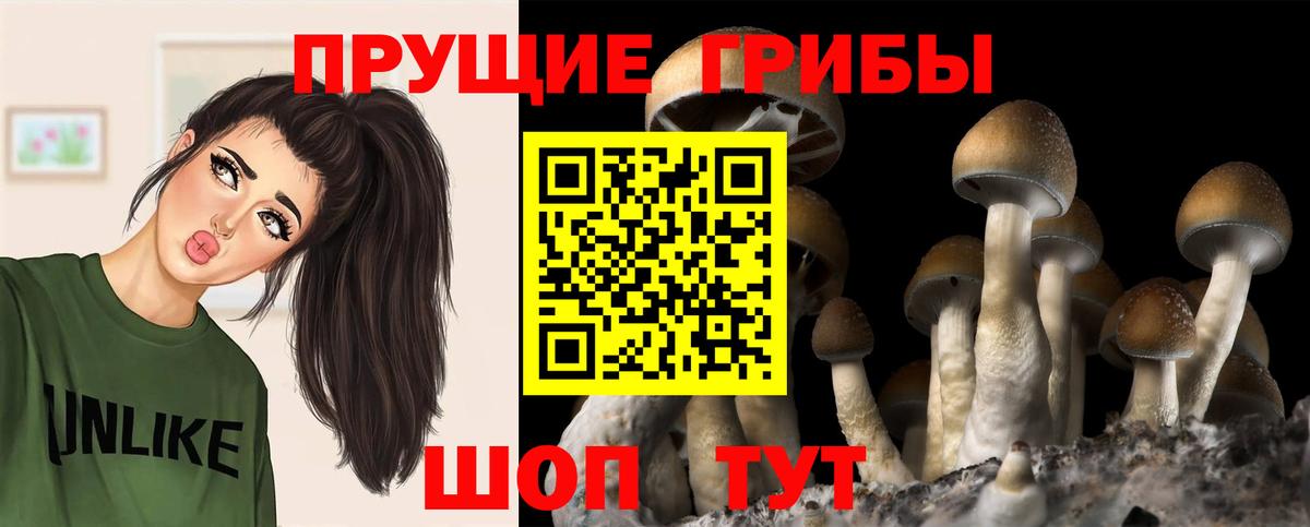 купить   Псилоцибиновые грибы Cubensis  Вход с VPN  Псилоцибиновые грибы Magic Shrooms  Котлас 