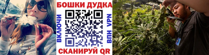 Каннабис ГИДРОПОН Котлас